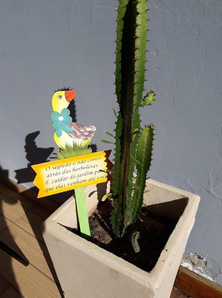 Aconchego De Um Lar Hospedagem Domiciliar Cabo Frio Exteriör bild